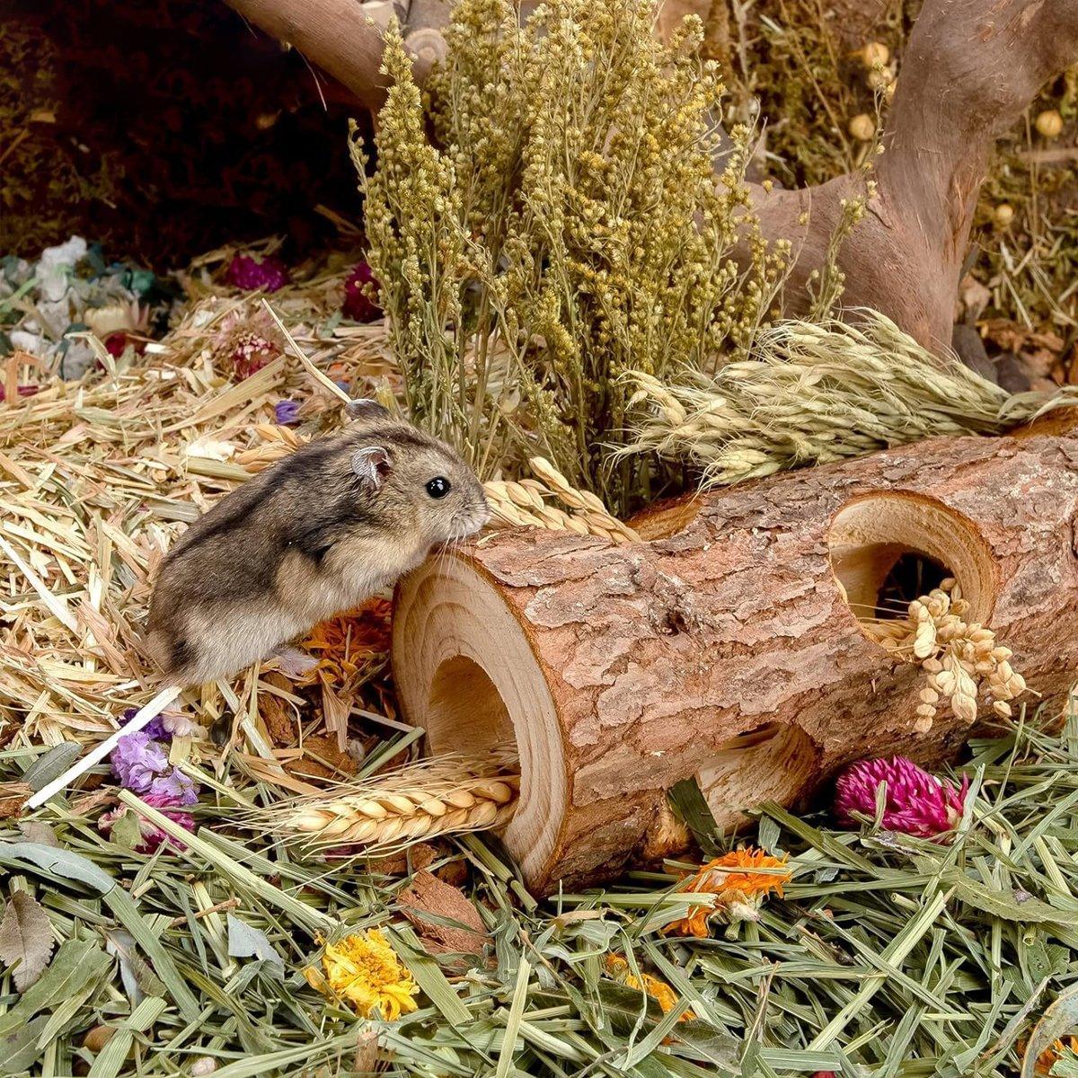 Solid Wood Hamster Pipe Rabbit Chew Toy Tree Cylinder Cross Border Pet Supplies