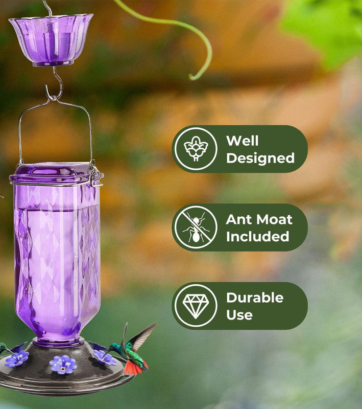Elegant Hanging Hummingbird Feeder - Decorative Glass Nectar Bottle with Ant Moat, 6 Feeding Ports(Red)